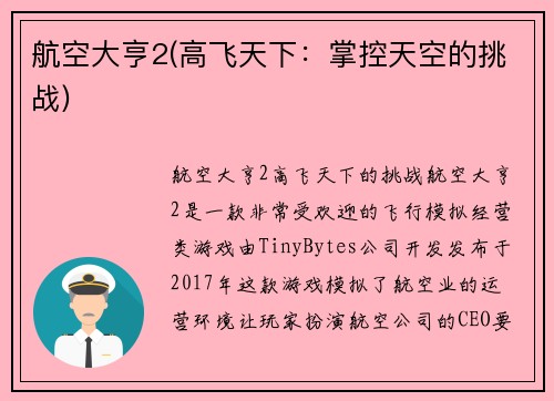 航空大亨2(高飞天下：掌控天空的挑战)
